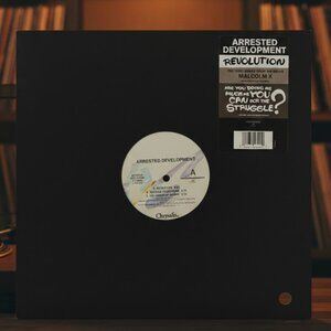 Arrested Development Revolution 12" Vinyl Single